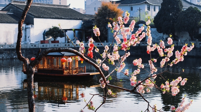 黛瓦鎖春秋，曲廊浮云影 春日水繪園：賞春好去處